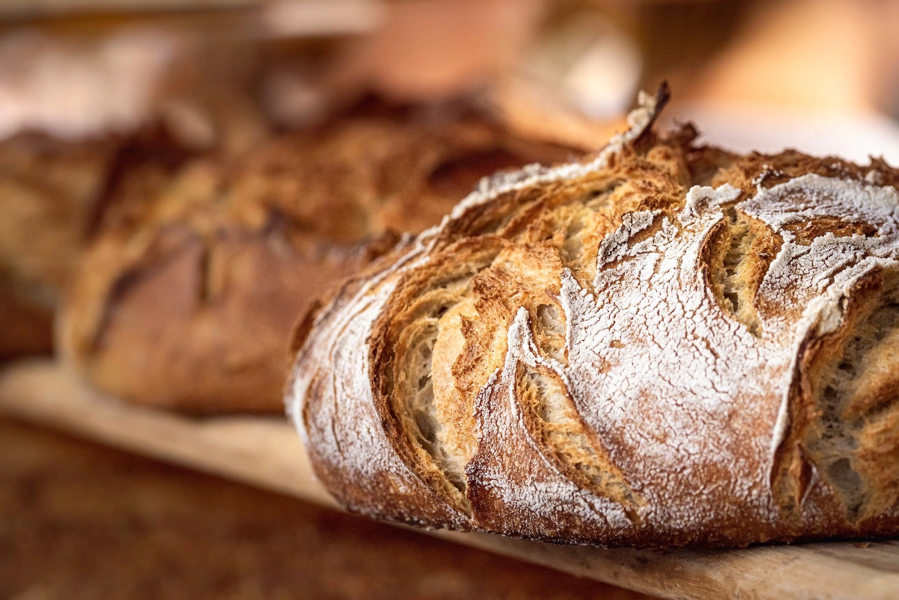 Close-up of crusty, flour-dusted sourdough loaves fresh from the oven